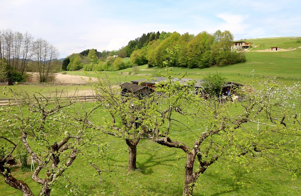 Familienparadies Reichenhauser Keutschach am See Kültér fotó